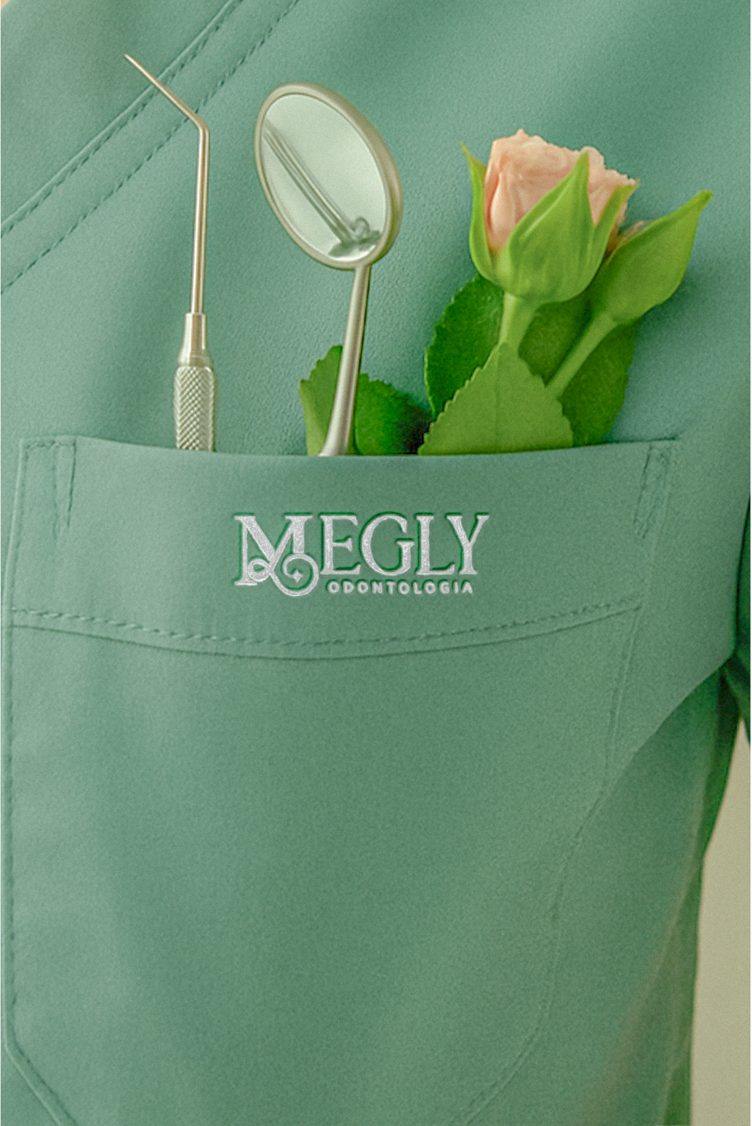 Apresentação Megly Odontologia 08